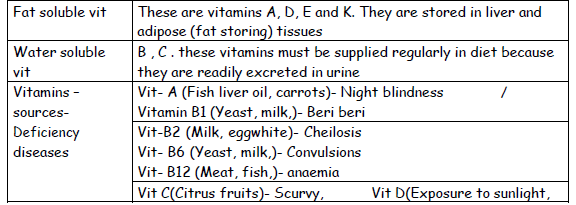 CBSE Class 12 Chemistry Molecules Notes